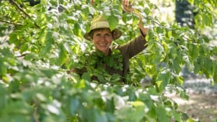 Angelika Ertl ist seit Jahrzehnten bekannte Gartenspezialistin und gibt unseren Lesern Tipps.