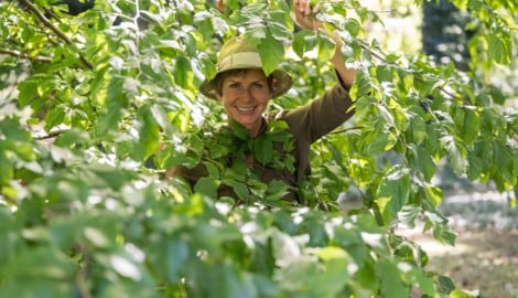 Angelika Ertl ist seit Jahrzehnten bekannte Gartenspezialistin und gibt unseren Lesern Tipps.