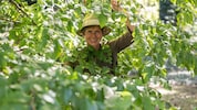 Angelika Ertl ist seit Jahrzehnten bekannte Gartenspezialistin und gibt unseren Lesern Tipps.