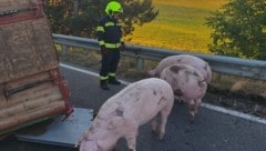 Ein Traktor mit Anhänger kippte aus unbekannter Ursache um. 
