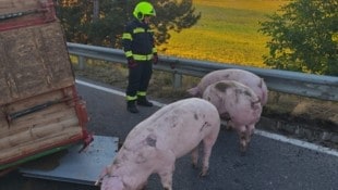 Ein Traktor mit Anhänger kippte aus unbekannter Ursache um. 