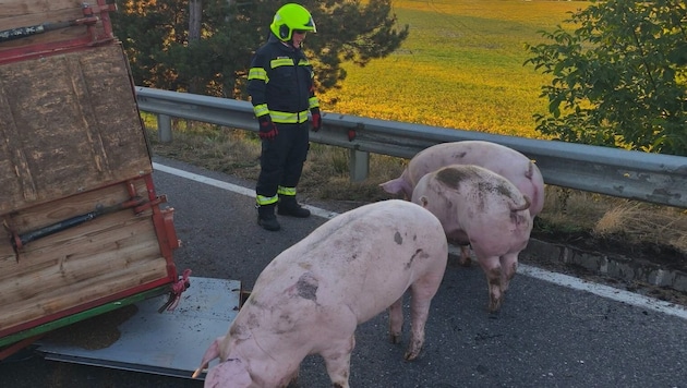 Ein Traktor mit Anhänger kippte aus unbekannter Ursache um.