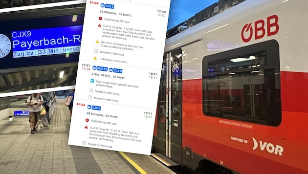 Wegen einer defekten Weiche zwischen Wien-Liesing und Meidling kommt es seit Montag laufend zu ...