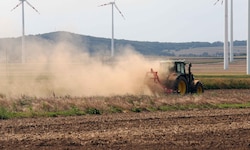 Staubige Felder und trockene Wiesen gehören aktuell zum traurigen Bild der Landwirtschaft.