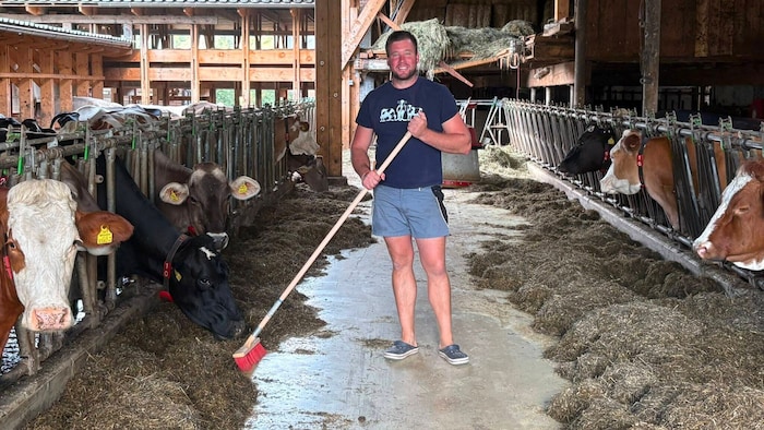 Die Kühe können ins Freie, müssen aber im Stall gefüttert werden, weil seit zwei Monaten nichts ...