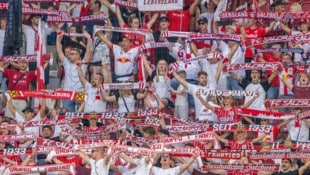 Rund 7000 Tickets wurden laut Red Bull Salzburg für das Spiel gegen Mjällby abgesetzt.