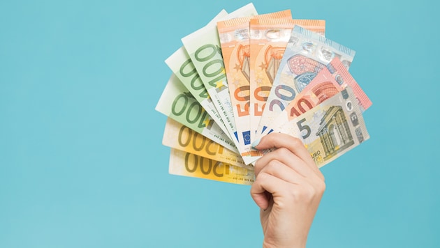 Die Betriebe aus Gewerbe und Handwerk in Niederösterreich wollen wieder Geld in die Hand nehmen ...