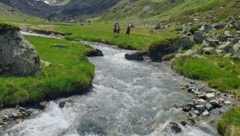 Vorarlbergs Naturschutz ist derzeit heißes Diskussionsthema. 