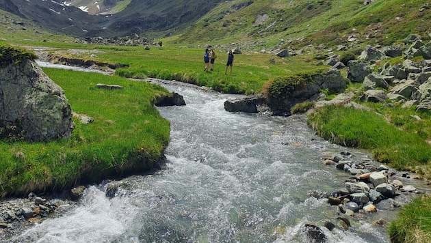 Vorarlbergs Naturschutz ist derzeit heißes Diskussionsthema.