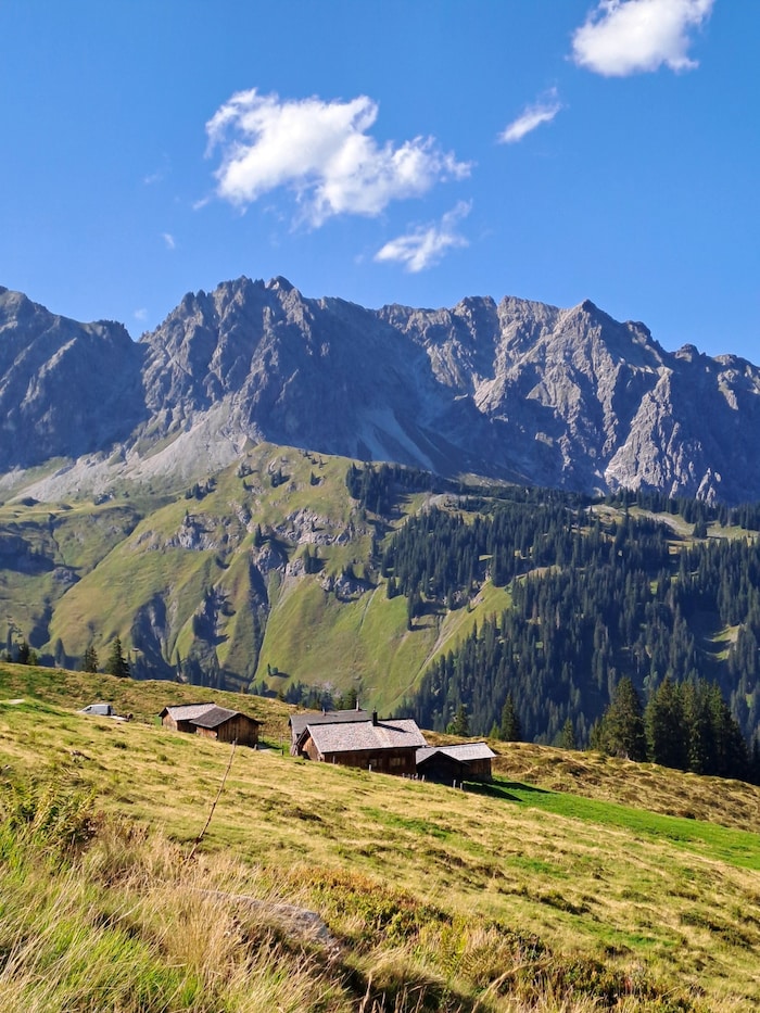 Alpenidylle: Die Platzis Alpe, eingerahmt von den majestätischen Bergriesen des Montafons