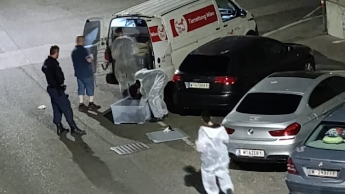 Tierrettung war vor Ort.