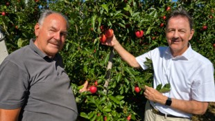 Plemenschits (l.) und Berlakovich sind zuversichtlich, dass der Handel auch die kleineren Äpfel ...