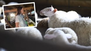„Krone“ Tierecke-Leiterin Maggie Entenfellner konnte sich bereits am Mittwoch ein Bild von der ...