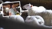 „Krone“ Tierecke-Leiterin Maggie Entenfellner konnte sich bereits am Mittwoch ein Bild von der ...