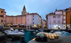 Muggia will der Rattenplage Herr werden – mehr Köder werden ausgelegt, die Strafen für ...