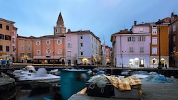 Muggia will der Rattenplage Herr werden – mehr Köder werden ausgelegt, die Strafen für ...