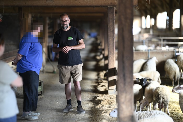 Die Landwirtin öffnete Tierschützer David Richter vom VGT die Tür und sagte zu, dass er in ...