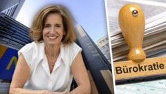 Indra Collini (NEOS) macht gegen „schräge Regulierungen“ in Niederösterreich mobil. Landtag und ...
