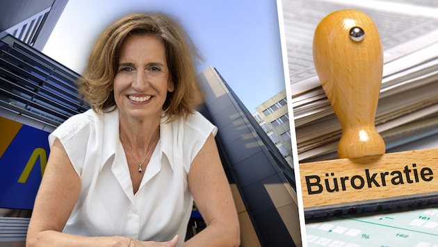 Indra Collini (NEOS) macht gegen „schräge Regulierungen“ in Niederösterreich mobil. Landtag und ...