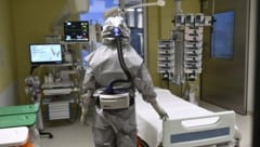 Das Krim-Kongo-Fieber wird hauptsächlich über infizierte Hyalomma-Zecken übertragen.