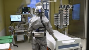Das Krim-Kongo-Fieber wird hauptsächlich über infizierte Hyalomma-Zecken übertragen.