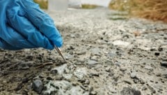 Die Fasern sollen an beiden Standorten im Asphalt eingeschlossen sein.