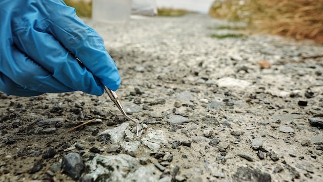 Die Fasern sollen an beiden Standorten im Asphalt eingeschlossen sein.