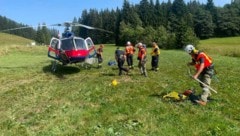 Auch aus der Luft wurde das Feuer gelöscht. Mit dem Polizeihubschrauber„Libelle-Lima“ wurden 30 ...