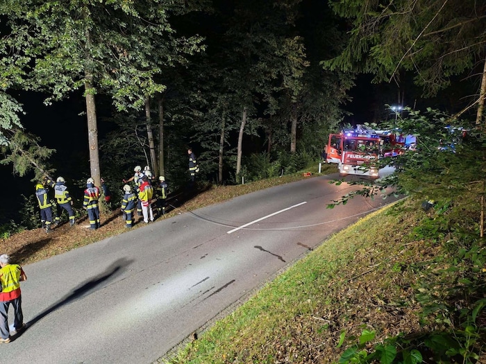 Sirenenalarm gab es in der Nacht für die Feuerwehr Zell-Gurnitz, die Freiwillige Feuerwehr ...