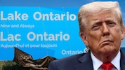Seit dem Scheitern der Handelsgespräche zwischen den Regierungen in Washington und Ottawa vor ...
