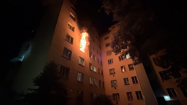 Feuerwehrleute kämpften in der Schüttelstraße gegen die Flammen und retteten mehrere Bewohner ...