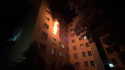 Feuerwehrleute kämpften in der Schüttelstraße gegen die Flammen und retteten mehrere Bewohner ...