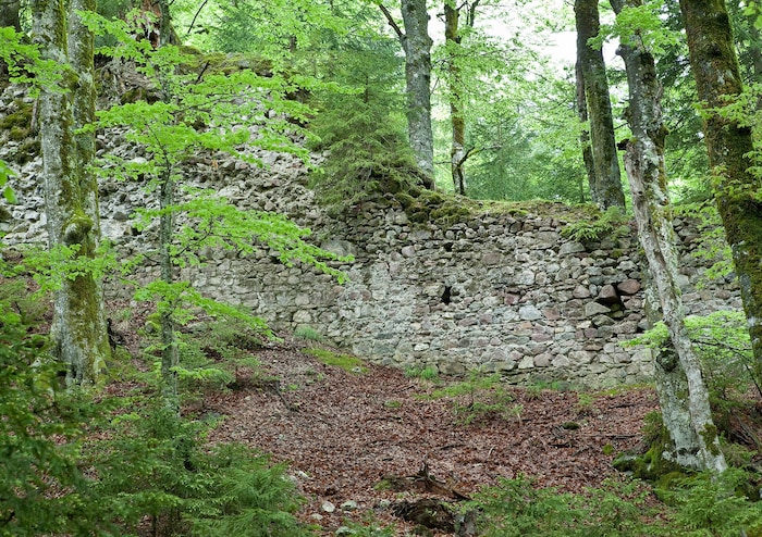 Der älteste Nachweis über die Burg am Pittersbergs tammt aus 1252.