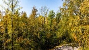 Der meteorologische Herbst muss noch warten: Österreich bleibt auch in der kommenden Woche ...