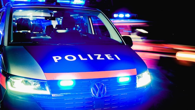 Ein 24-jähriger Lenker soll einen Streifenwagen gerammt und sich anschließend massiv gegen seine ...