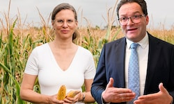 Anja Haider-Wallner und Umweltminister Norbert Totschnig sind sich derzeit nicht unbedingt grün.