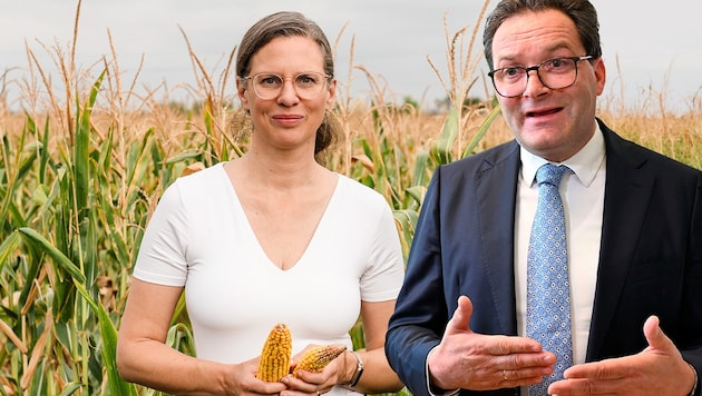 Anja Haider-Wallner und Umweltminister Norbert Totschnig sind sich derzeit nicht unbedingt grün.