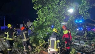 Der Sturm knickte auch einen Baum bei der Badner Bahn zwischen Pfaffstätten und Tribuswinkel. ...