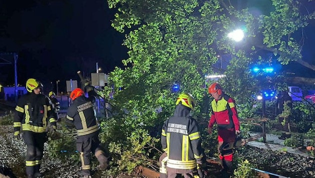 Der Sturm knickte auch einen Baum bei der Badner Bahn zwischen Pfaffstätten und Tribuswinkel. ...