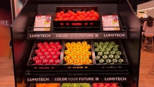 Das Lumitech-System kann direkt in Verkaufsregalen, Käse- und Feinkosttheken oder Kühlmöbeln ...