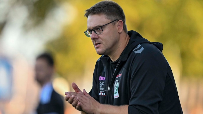 Ried-Trainer Mario Despotovic