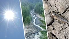 Österreich erlebte einen Sommer der Extreme: Rekordhitze, tropische Nächte und massive ...