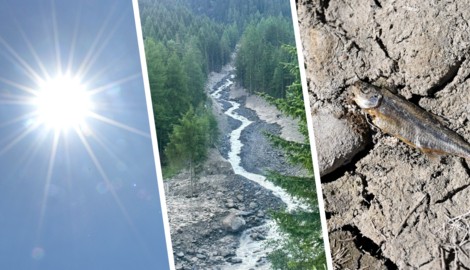 Hitze, Dürre, Überschwemmungen: Ein Sommer mit Rekorden liegt hinter uns.