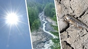 Hitze, Dürre, Überschwemmungen: Ein Sommer mit Rekorden liegt hinter uns.