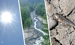 Österreich erlebte einen Sommer der Extreme: Rekordhitze, tropische Nächte und massive ...