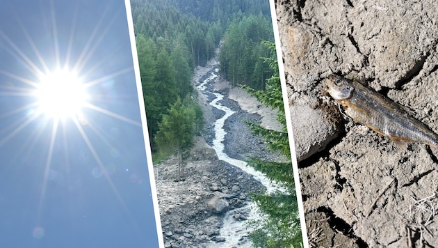 Austria experienced a summer of extremes: record-breaking heat, tropical nights, and severe ...