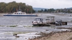 Das Niedrigwasser im Rhein förderte ein Wrack mit Menschenknochen zutage.
