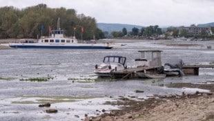 Das Niedrigwasser im Rhein förderte ein Wrack mit Menschenknochen zutage.