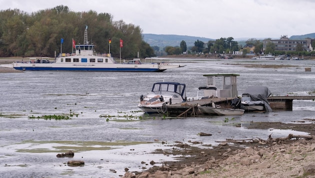 Das Niedrigwasser im Rhein förderte ein Wrack mit Menschenknochen zutage.