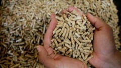Besonders stark verteuerten sich Pellets (plus 31,3 Prozent gegenüber Juli 2025) und Heizöl ...